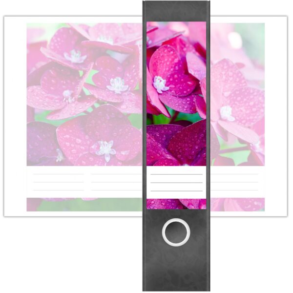 Etiketten für Ordner | Hortensie pink | 4 breite Aufkleber für Ordnerrücken | Selbstklebende Design Ordneretiketten Rückenschilder
