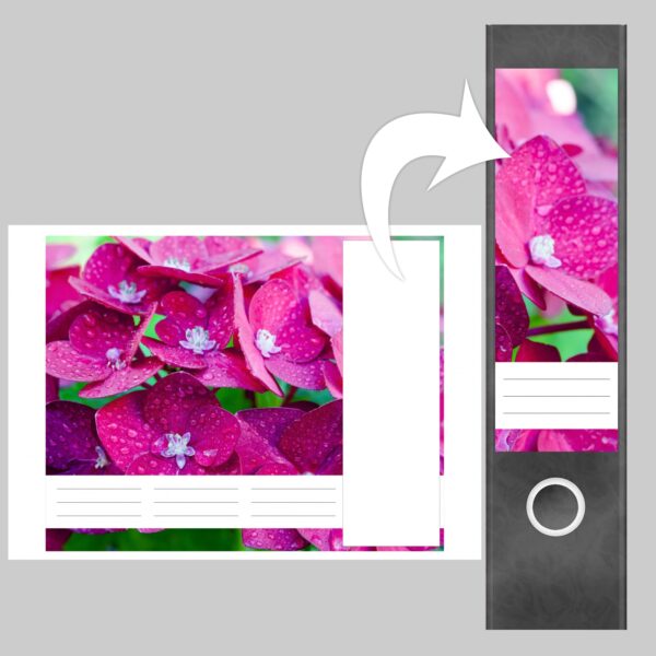 Etiketten für Ordner | Hortensie pink | 4 breite Aufkleber für Ordnerrücken | Selbstklebende Design Ordneretiketten Rückenschilder