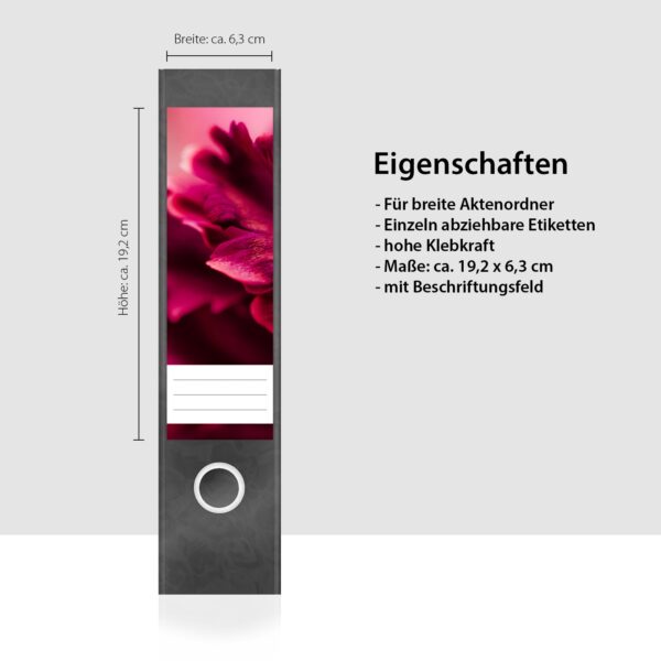 Etiketten für Ordner | Papageien Tulpe | 4 breite Aufkleber für Ordnerrücken | Selbstklebende Design Ordneretiketten Rückenschilder