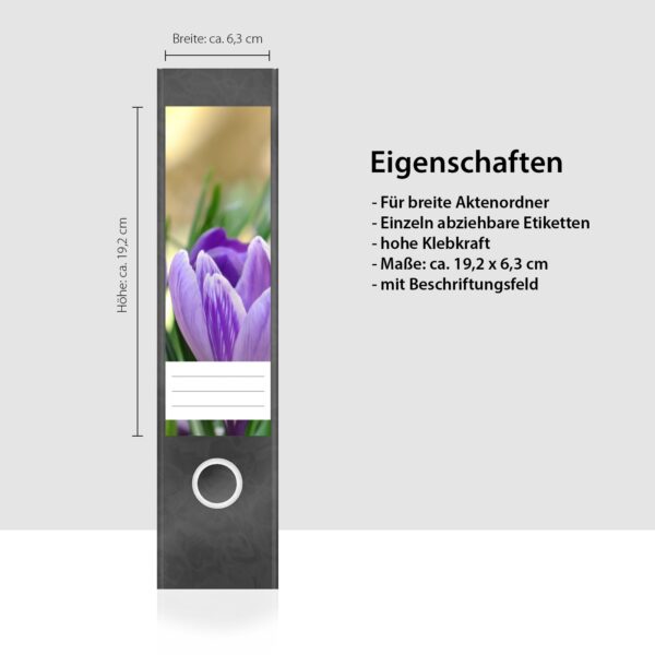 Etiketten für Ordner | Krokus | 4 breite Aufkleber für Ordnerrücken | Selbstklebende Design Ordneretiketten Rückenschilder