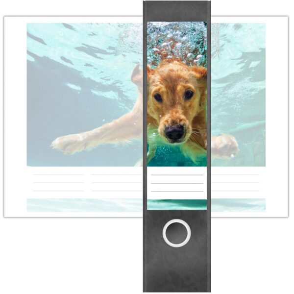 Etiketten für Ordner | Hund unter Wasser | 4 breite Aufkleber für Ordnerrücken | Selbstklebende Design Ordneretiketten Rückenschilder