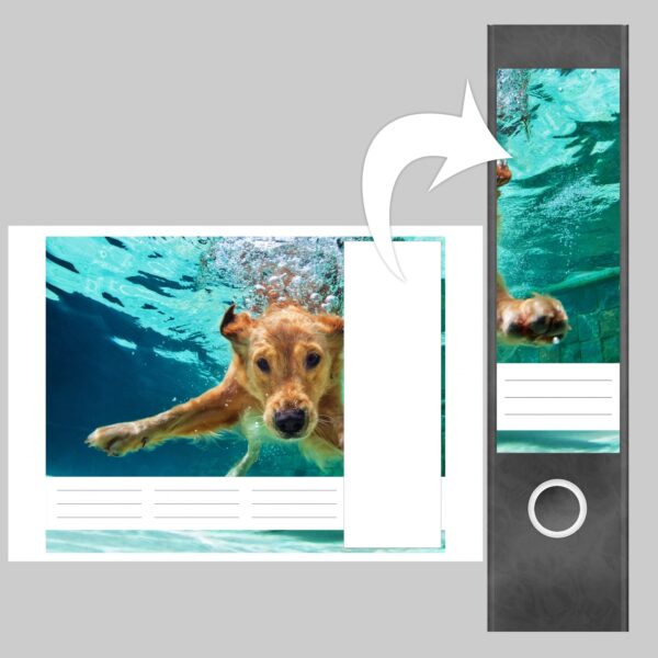 Etiketten für Ordner | Hund unter Wasser | 4 breite Aufkleber für Ordnerrücken | Selbstklebende Design Ordneretiketten Rückenschilder