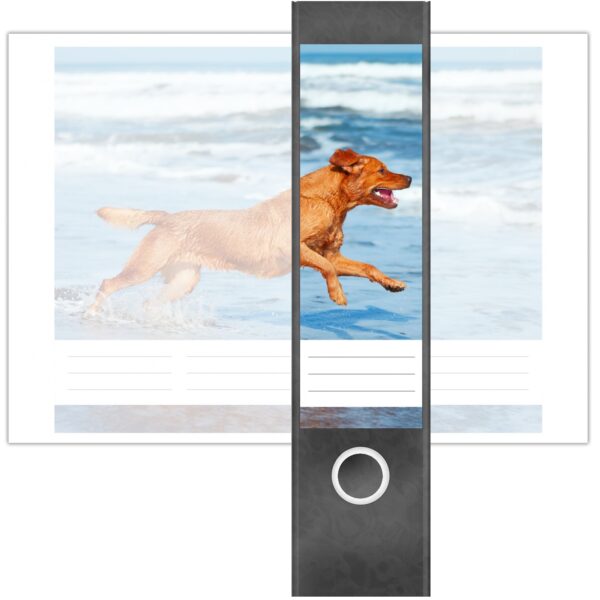Etiketten für Ordner | Hund am Meer | 4 breite Aufkleber für Ordnerrücken | Selbstklebende Design Ordneretiketten Rückenschilder