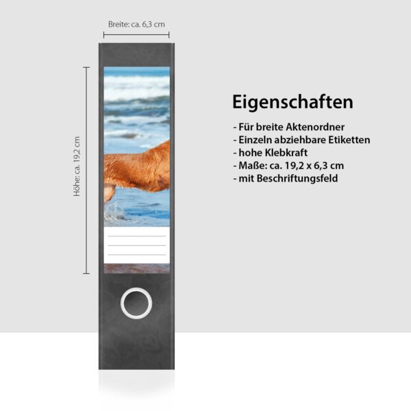 Etiketten für Ordner | Hund am Meer | 4 breite Aufkleber für Ordnerrücken | Selbstklebende Design Ordneretiketten Rückenschilder