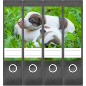 Etiketten für Ordner | Hunde Welpen | 4 breite Aufkleber für Ordnerrücken | Selbstklebende Design Ordneretiketten Rückenschilder