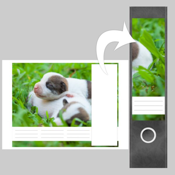 Etiketten für Ordner | Hunde Welpen | 4 breite Aufkleber für Ordnerrücken | Selbstklebende Design Ordneretiketten Rückenschilder