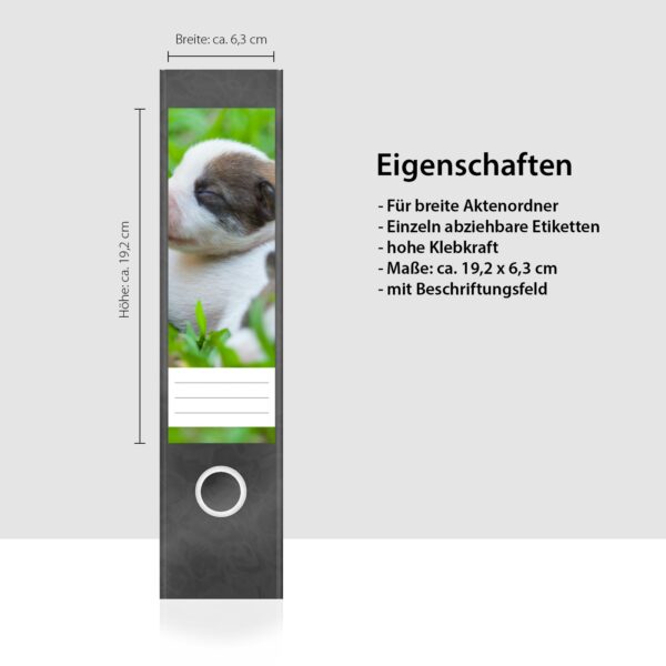 Etiketten für Ordner | Hunde Welpen | 4 breite Aufkleber für Ordnerrücken | Selbstklebende Design Ordneretiketten Rückenschilder