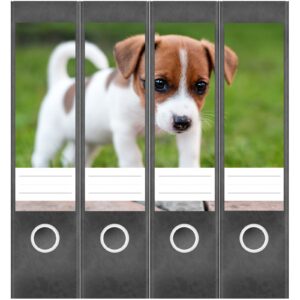 Etiketten für Ordner | Hunde Welpe | 4 breite Aufkleber für Ordnerrücken | Selbstklebende Design Ordneretiketten Rückenschilder