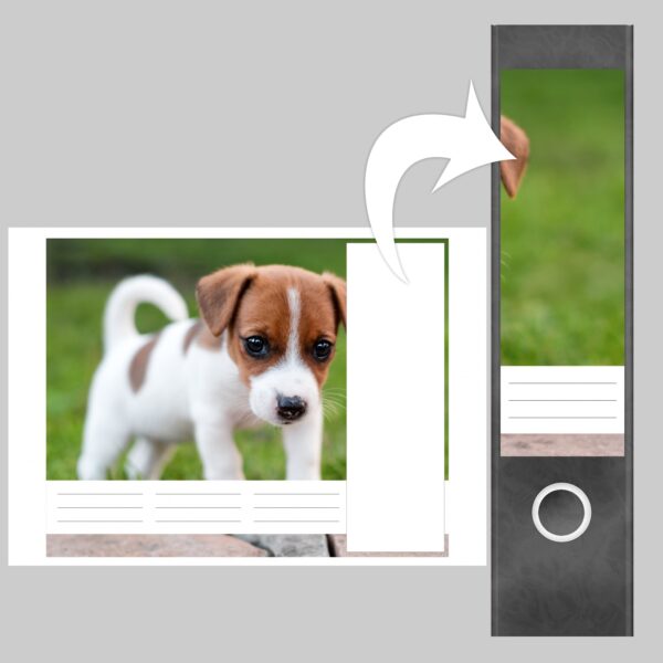 Etiketten für Ordner | Hunde Welpe | 4 breite Aufkleber für Ordnerrücken | Selbstklebende Design Ordneretiketten Rückenschilder