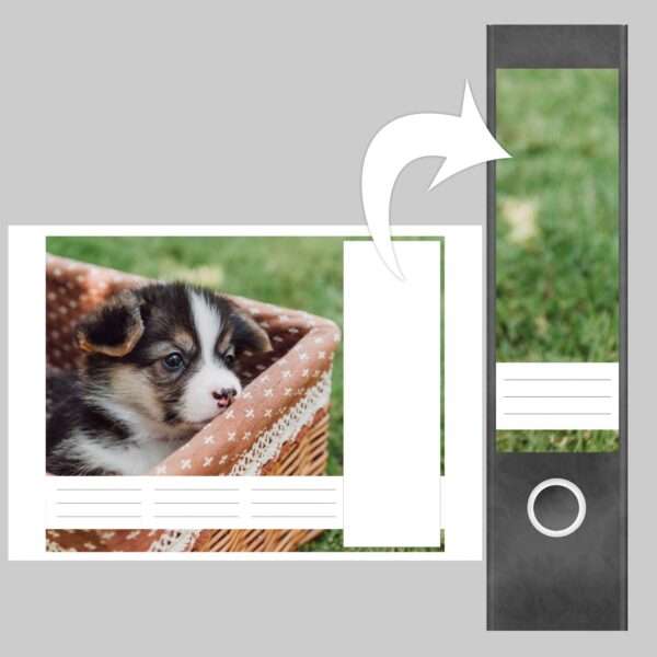 Etiketten für Ordner | Hunde Welpe im Korb | 4 breite Aufkleber für Ordnerrücken | Selbstklebende Design Ordneretiketten Rückenschilder