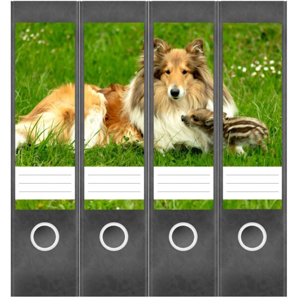 Etiketten für Ordner | Hund Collie auf Wiese | 4 breite Aufkleber für Ordnerrücken | Selbstklebende Design Ordneretiketten Rückenschilder