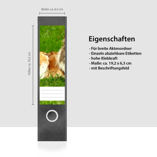 Etiketten für Ordner | Hund Collie auf Wiese | 4 breite Aufkleber für Ordnerrücken | Selbstklebende Design Ordneretiketten Rückenschilder