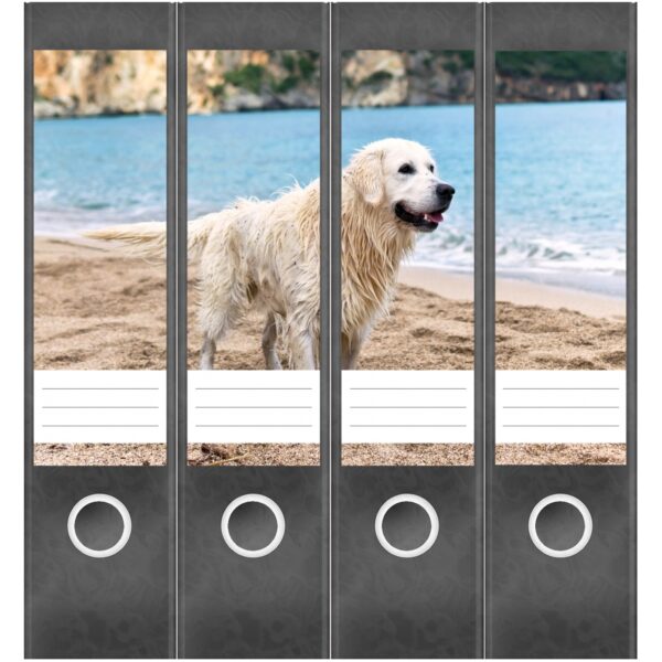 Etiketten für Ordner | Golden Retriever Hund | 4 breite Aufkleber für Ordnerrücken | Selbstklebende Design Ordneretiketten Rückenschilder