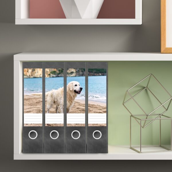 Etiketten für Ordner | Golden Retriever Hund | 4 breite Aufkleber für Ordnerrücken | Selbstklebende Design Ordneretiketten Rückenschilder