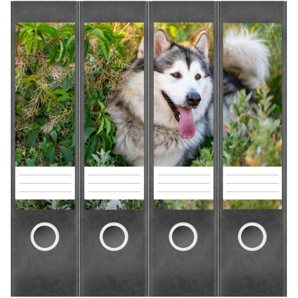 Etiketten für Ordner | Niedlicher Hund | 4 breite Aufkleber für Ordnerrücken | Selbstklebende Design Ordneretiketten Rückenschilder