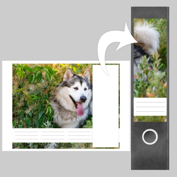 Etiketten für Ordner | Niedlicher Hund | 4 breite Aufkleber für Ordnerrücken | Selbstklebende Design Ordneretiketten Rückenschilder