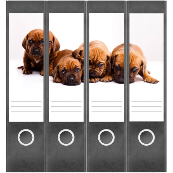 Etiketten für Ordner | Niedliche Hunde Welpen | 4 breite Aufkleber für Ordnerrücken | Selbstklebende Design Ordneretiketten Rückenschilder