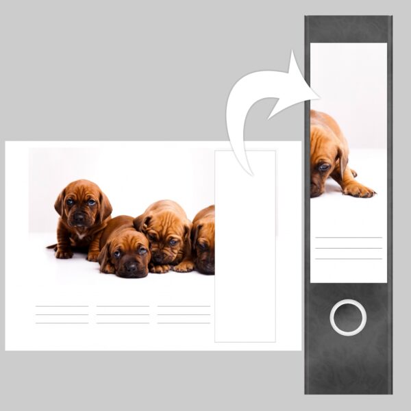 Etiketten für Ordner | Niedliche Hunde Welpen | 4 breite Aufkleber für Ordnerrücken | Selbstklebende Design Ordneretiketten Rückenschilder