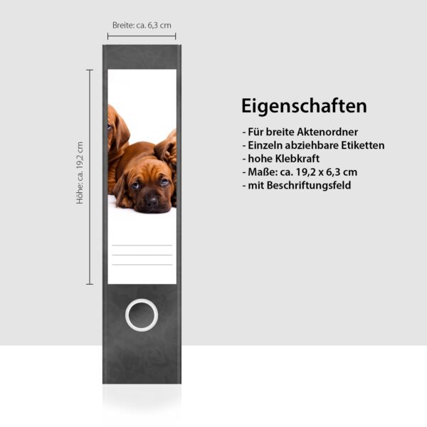 Etiketten für Ordner | Niedliche Hunde Welpen | 4 breite Aufkleber für Ordnerrücken | Selbstklebende Design Ordneretiketten Rückenschilder