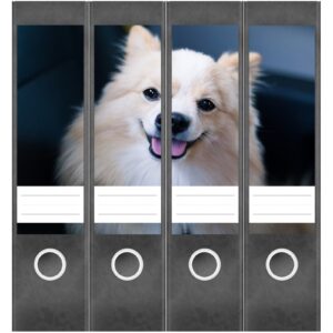 Etiketten für Ordner | Lachender Hund | 4 breite Aufkleber für Ordnerrücken | Selbstklebende Design Ordneretiketten Rückenschilder