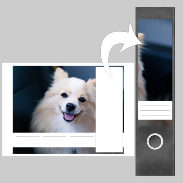 Etiketten für Ordner | Lachender Hund | 4 breite Aufkleber für Ordnerrücken | Selbstklebende Design Ordneretiketten Rückenschilder
