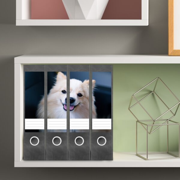 Etiketten für Ordner | Lachender Hund | 4 breite Aufkleber für Ordnerrücken | Selbstklebende Design Ordneretiketten Rückenschilder