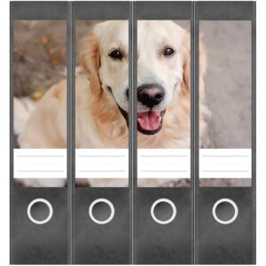 Etiketten für Ordner | Golden Retriever Hund lacht | 4 breite Aufkleber für Ordnerrücken | Selbstklebende Design Ordneretiketten Rückenschilder