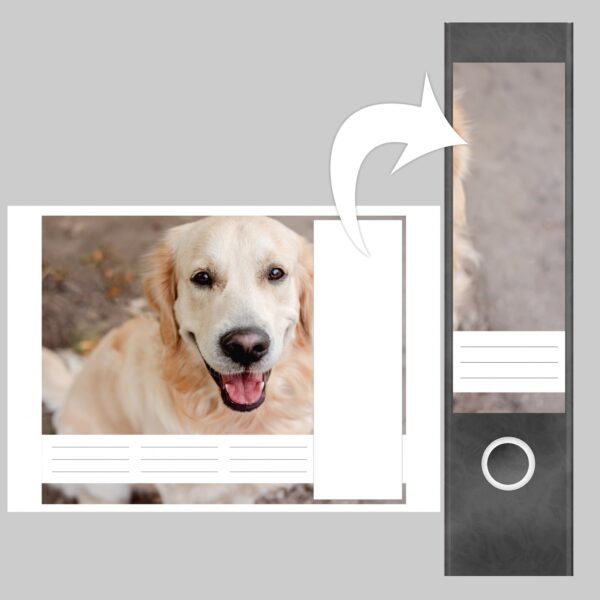 Etiketten für Ordner | Golden Retriever Hund lacht | 4 breite Aufkleber für Ordnerrücken | Selbstklebende Design Ordneretiketten Rückenschilder