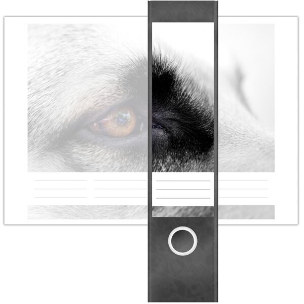 Etiketten für Ordner | Hunde Auge nah | 4 breite Aufkleber für Ordnerrücken | Selbstklebende Design Ordneretiketten Rückenschilder