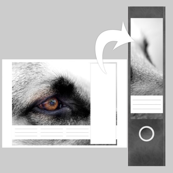 Etiketten für Ordner | Hunde Auge nah | 4 breite Aufkleber für Ordnerrücken | Selbstklebende Design Ordneretiketten Rückenschilder