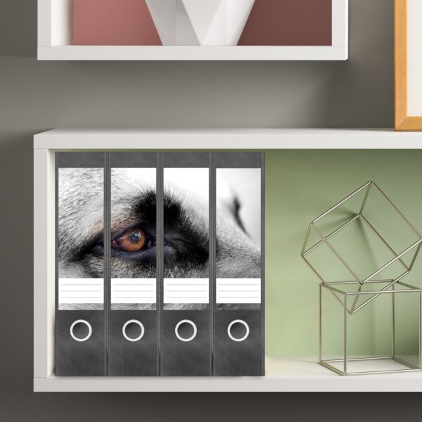 Etiketten für Ordner | Hunde Auge nah | 4 breite Aufkleber für Ordnerrücken | Selbstklebende Design Ordneretiketten Rückenschilder