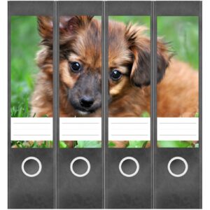 Etiketten für Ordner | Verspielter Hund | 4 breite Aufkleber für Ordnerrücken | Selbstklebende Design Ordneretiketten Rückenschilder
