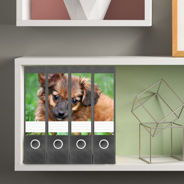 Etiketten für Ordner | Verspielter Hund | 4 breite Aufkleber für Ordnerrücken | Selbstklebende Design Ordneretiketten Rückenschilder