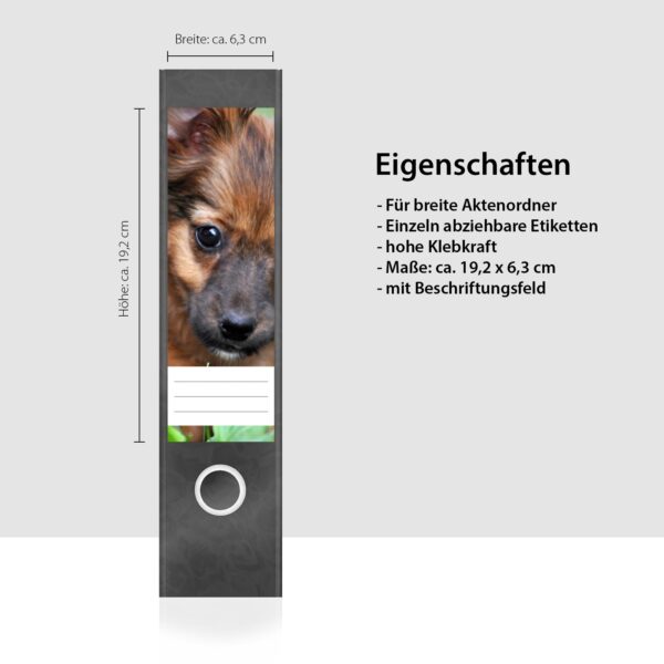 Etiketten für Ordner | Verspielter Hund | 4 breite Aufkleber für Ordnerrücken | Selbstklebende Design Ordneretiketten Rückenschilder