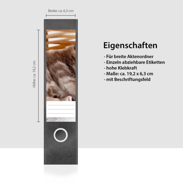 Etiketten für Ordner | schlafendes Kätzchen | 4 Aufkleber für breite Ordnerrücken | Selbstklebende Design Ordneretiketten Rückenschilder