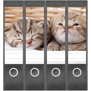 Etiketten für Ordner | Katze im Korb | 4 breite Aufkleber für Ordnerrücken | Selbstklebende Design Ordneretiketten Rückenschilder