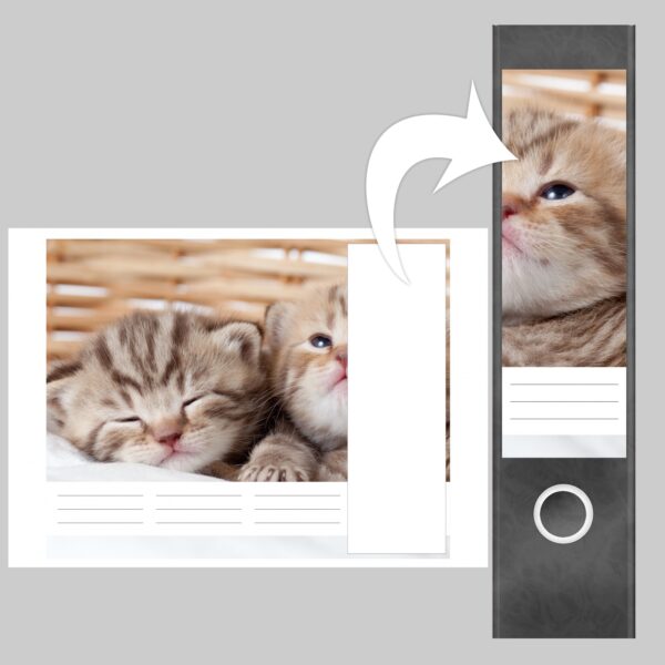 Etiketten für Ordner | Katze im Korb | 4 breite Aufkleber für Ordnerrücken | Selbstklebende Design Ordneretiketten Rückenschilder