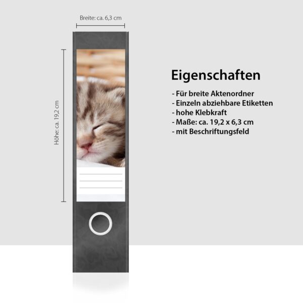 Etiketten für Ordner | Katze im Korb | 4 breite Aufkleber für Ordnerrücken | Selbstklebende Design Ordneretiketten Rückenschilder