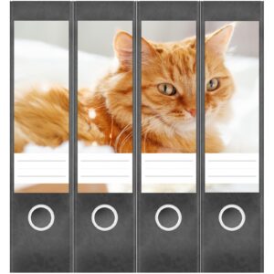 Etiketten für Ordner | Katze auf Kissen | 4 breite Aufkleber für Ordnerrücken | Selbstklebende Design Ordneretiketten Rückenschilder
