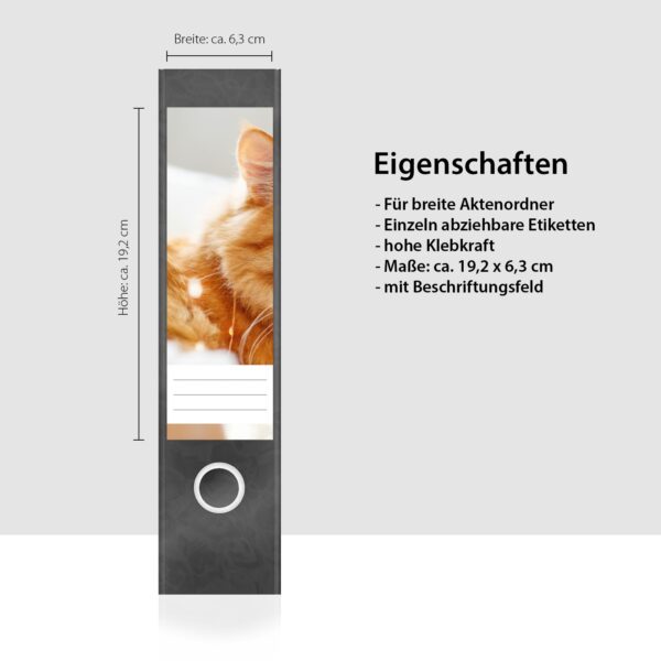 Etiketten für Ordner | Katze auf Kissen | 4 breite Aufkleber für Ordnerrücken | Selbstklebende Design Ordneretiketten Rückenschilder