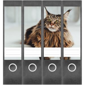 Etiketten für Ordner | braune Katze | 4 breite Aufkleber für Ordnerrücken | Selbstklebende Design Ordneretiketten Rückenschilder