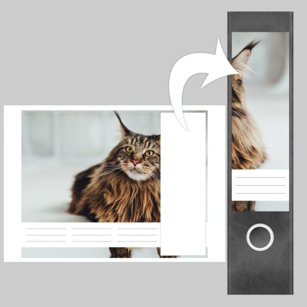 Etiketten für Ordner | braune Katze | 4 breite Aufkleber für Ordnerrücken | Selbstklebende Design Ordneretiketten Rückenschilder