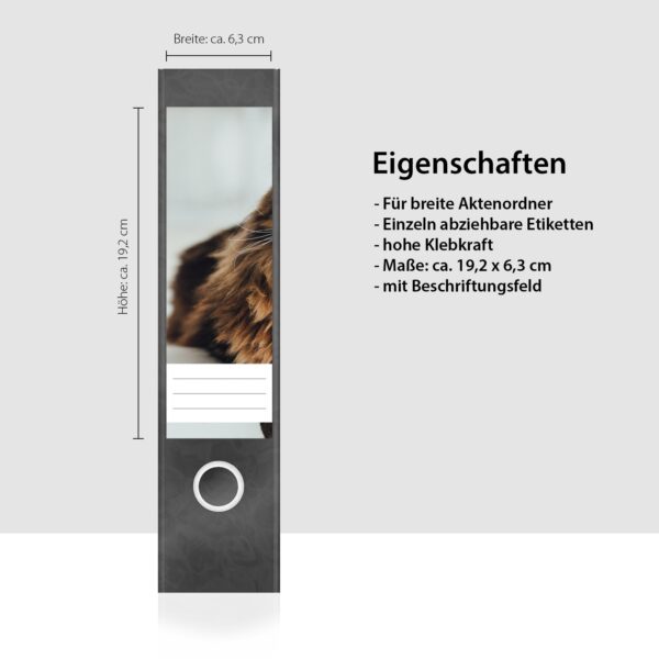Etiketten für Ordner | braune Katze | 4 breite Aufkleber für Ordnerrücken | Selbstklebende Design Ordneretiketten Rückenschilder