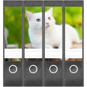 Etiketten für Ordner | weiße Katze Kätzchen | 4 breite Aufkleber für Ordnerrücken | Selbstklebende Design Ordneretiketten Rückenschilder