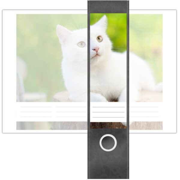 Etiketten für Ordner | weiße Katze Kätzchen | 4 breite Aufkleber für Ordnerrücken | Selbstklebende Design Ordneretiketten Rückenschilder