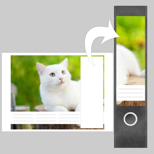Etiketten für Ordner | weiße Katze Kätzchen | 4 breite Aufkleber für Ordnerrücken | Selbstklebende Design Ordneretiketten Rückenschilder