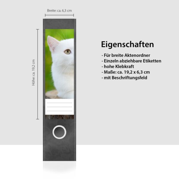 Etiketten für Ordner | weiße Katze Kätzchen | 4 breite Aufkleber für Ordnerrücken | Selbstklebende Design Ordneretiketten Rückenschilder
