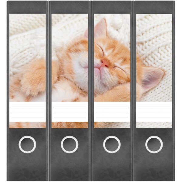 Etiketten für Ordner | Katzenbaby Kätzchen | 4 breite Aufkleber für Ordnerrücken | Selbstklebende Design Ordneretiketten Rückenschilder