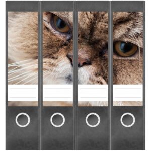 Etiketten für Ordner | Katzengesicht Katze | 4 breite Aufkleber für Ordnerrücken | Selbstklebende Design Ordneretiketten Rückenschilder