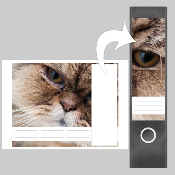 Etiketten für Ordner | Katzengesicht Katze | 4 breite Aufkleber für Ordnerrücken | Selbstklebende Design Ordneretiketten Rückenschilder
